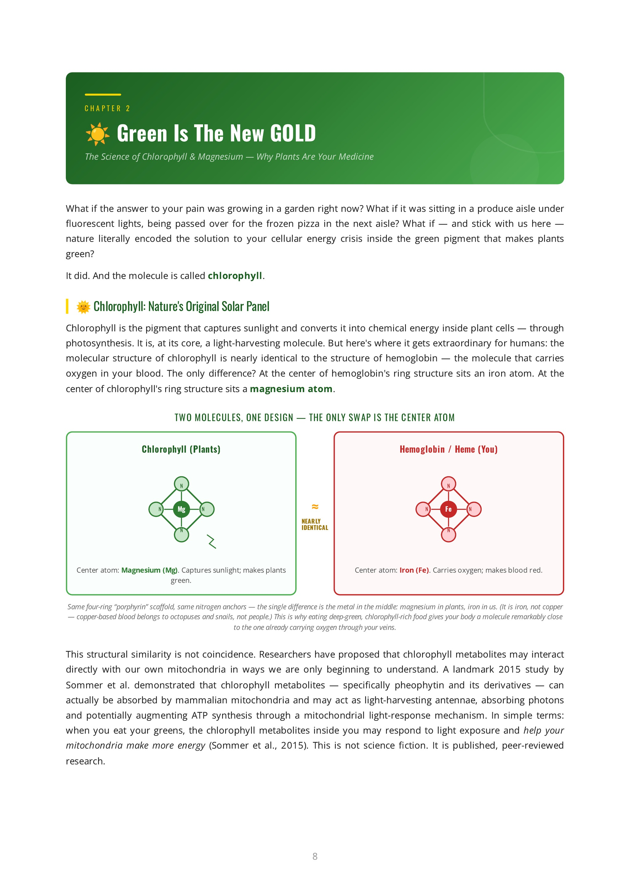 SuperMito for Athletes — The Book