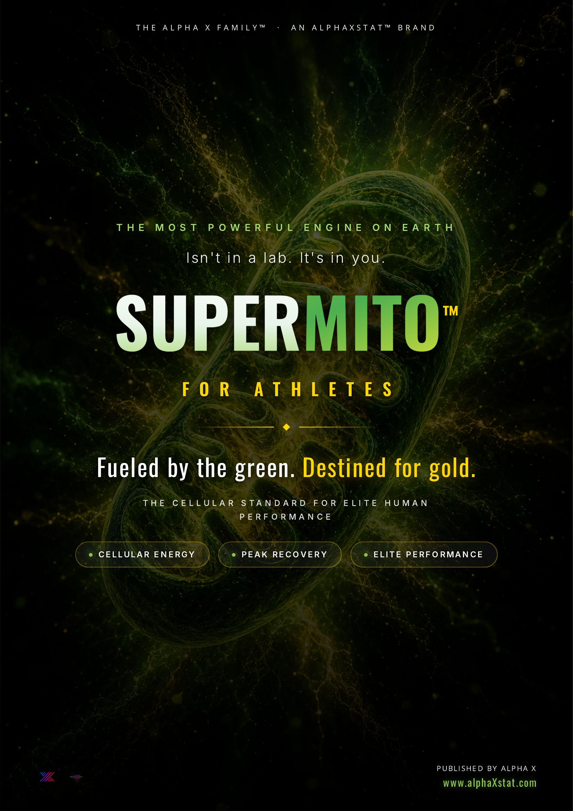 SuperMito for Athletes — The Book